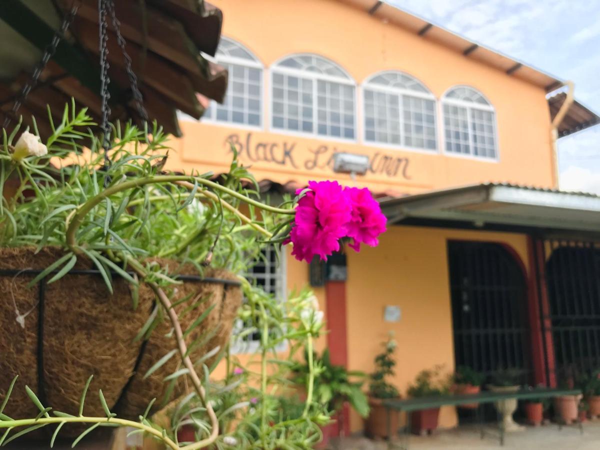 Black Lion Inn Santiago Bagian luar foto